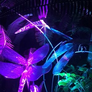 Meet your Posher, Dawn